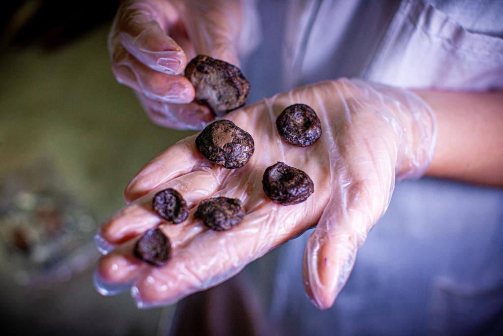 День российской науки