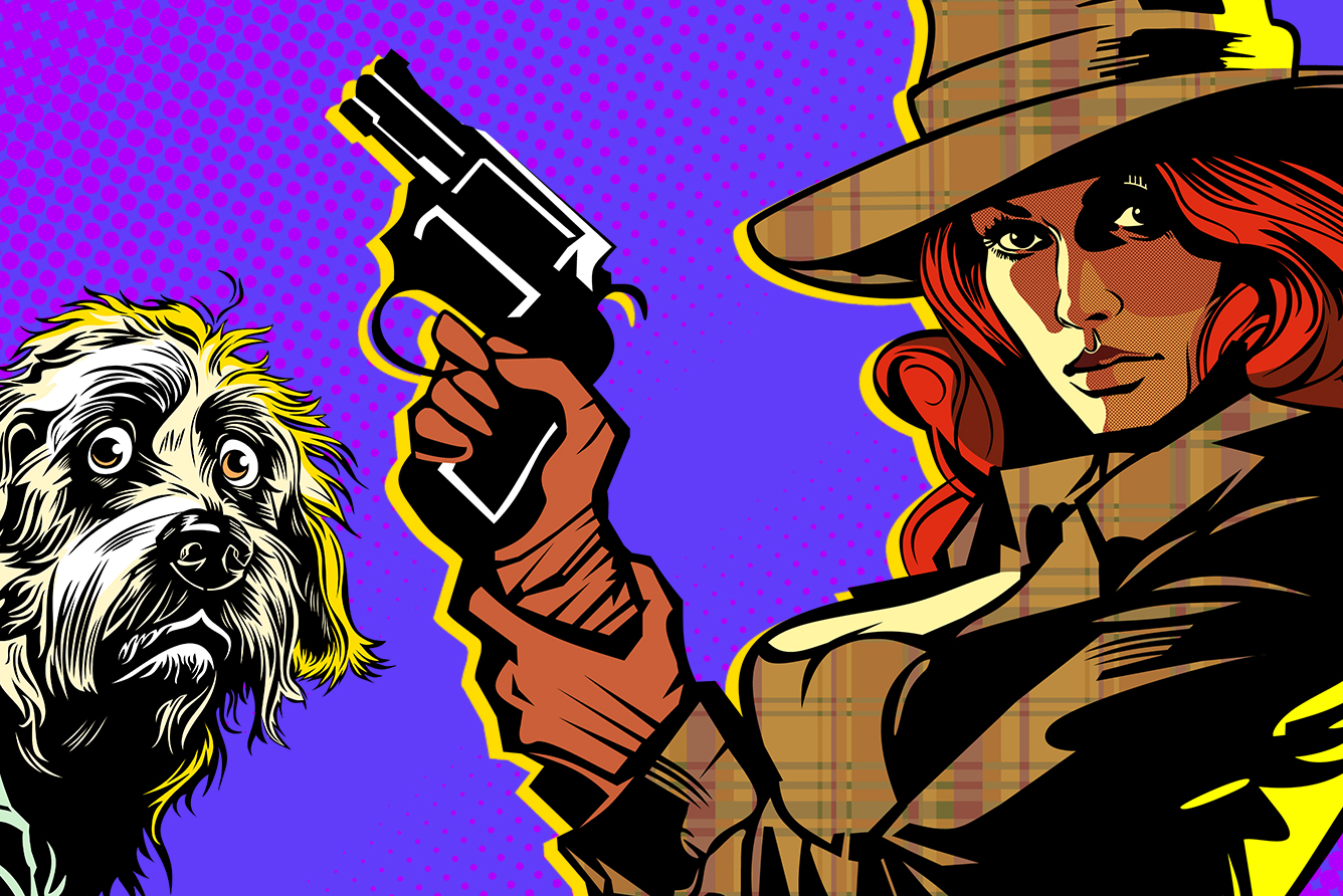 Элементарно, Хадсон! Дело о собаке Б.