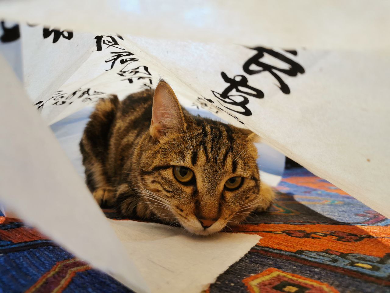 Выставка Чай окрашивает кисть